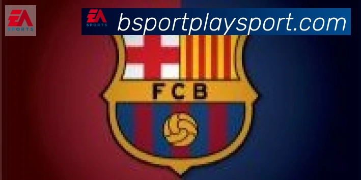 Bsports官网合作伙伴