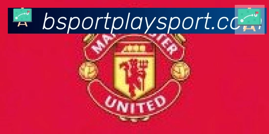 Bsports官网合作伙伴