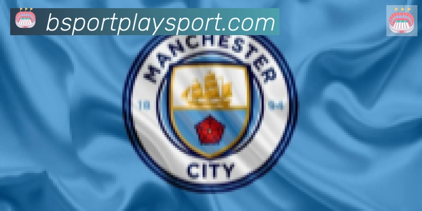 Bsports官网合作伙伴
